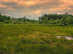 IMGP6150-1_Borris Soenderland